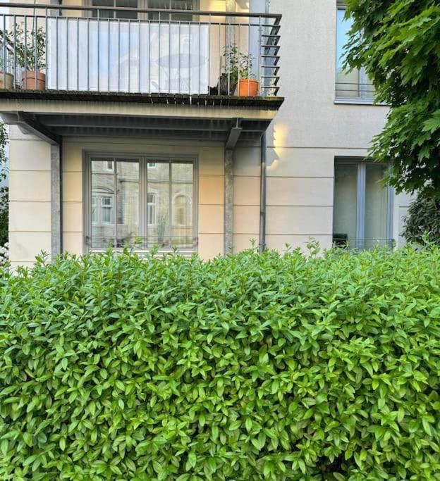 Gemuetliches Apartment Im Herzen Detmolds Zewnętrze zdjęcie