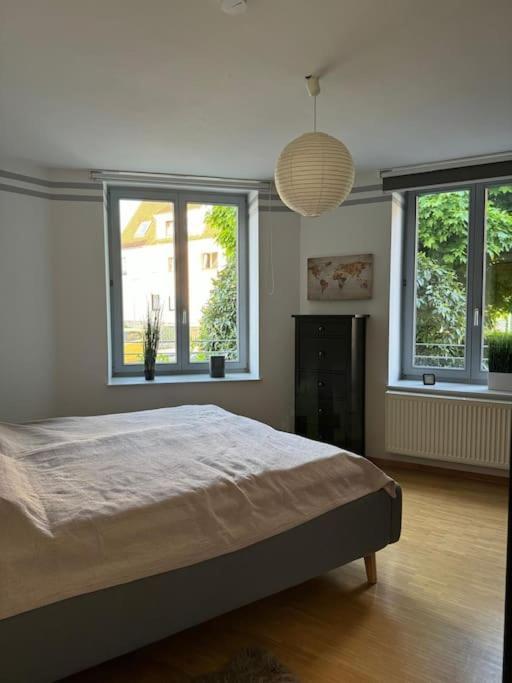 Gemuetliches Apartment Im Herzen Detmolds Zewnętrze zdjęcie
